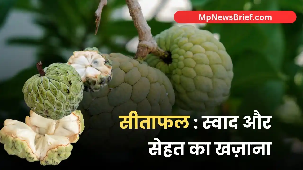 Health benefits of custard apple