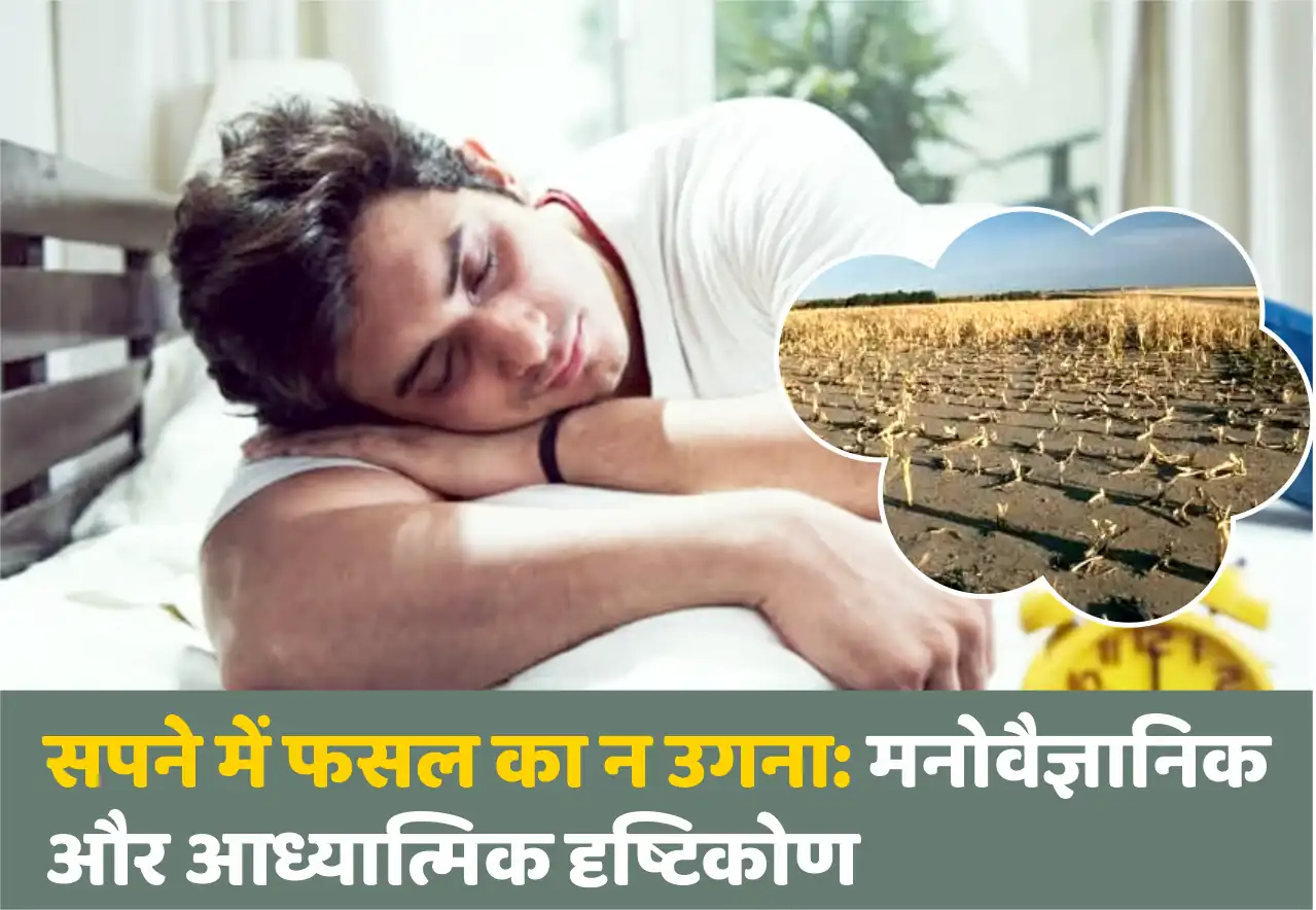 Dream Interpretation of Crop Failure