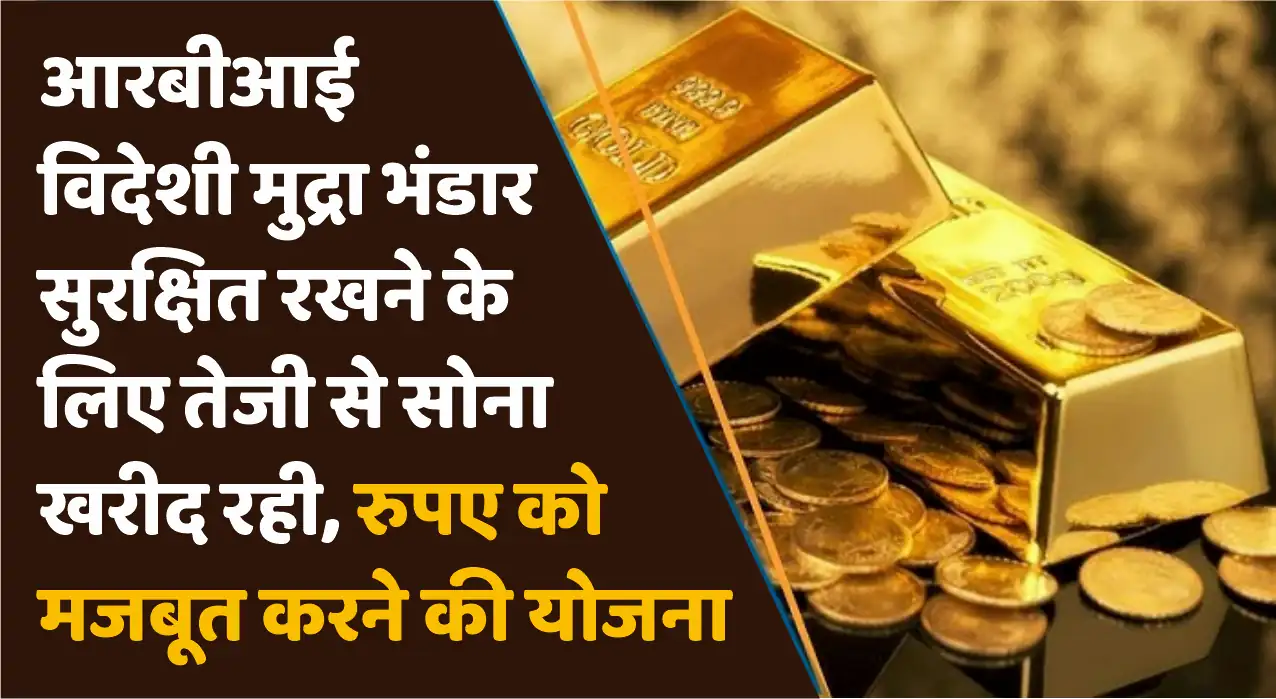 RBI Gold Purchases 2024
