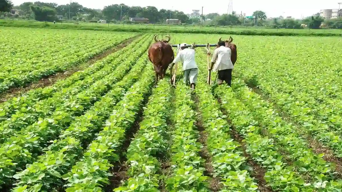 Organic Farming