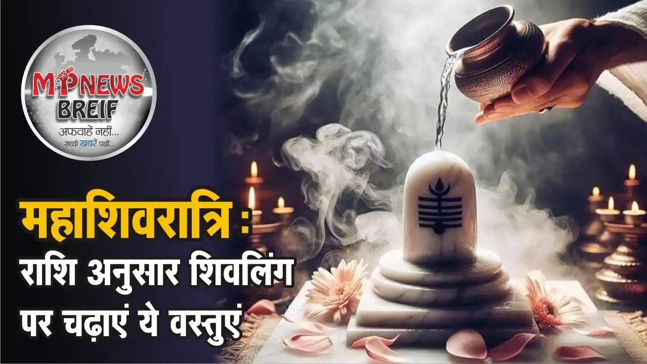 Shivling Offerings by Zodiac Sign