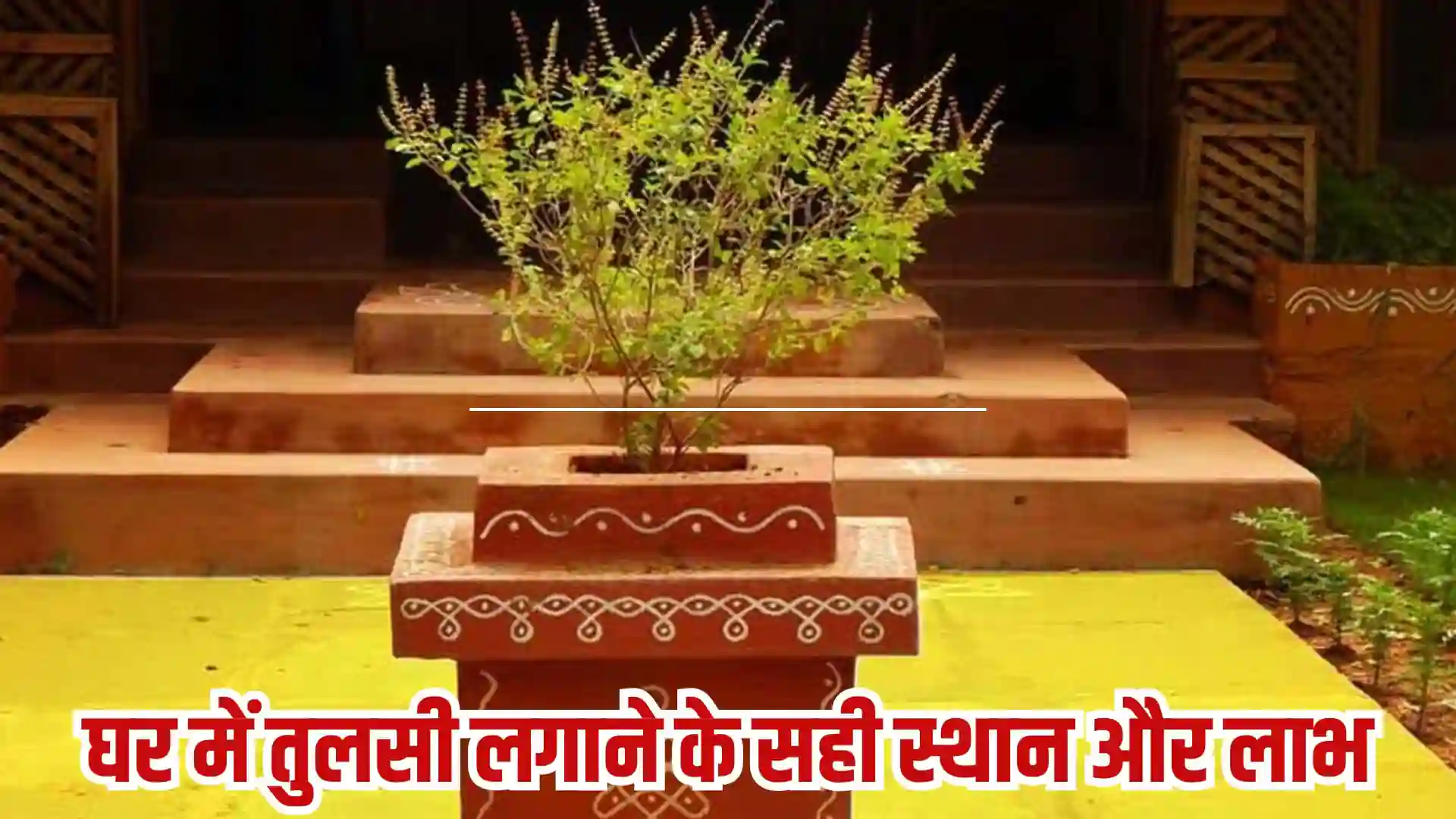 Tulsi Vastu Tips