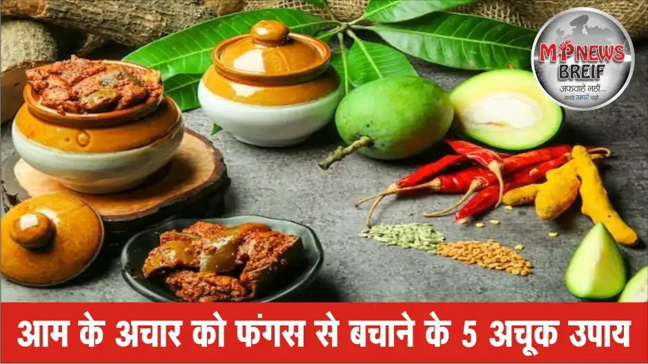 How To Preserve Indian Pickles