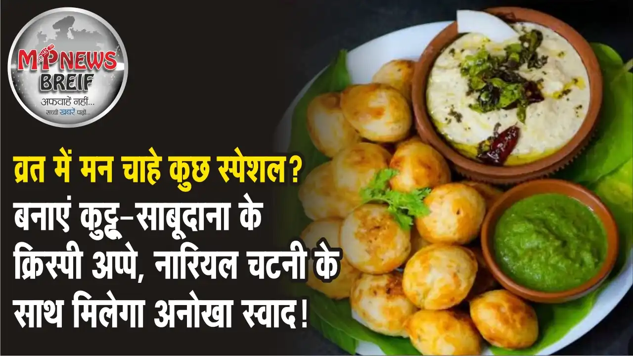 Navratri Vrat Dish