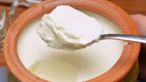 how-to-make-thick-curd-in-2-hour-at-home