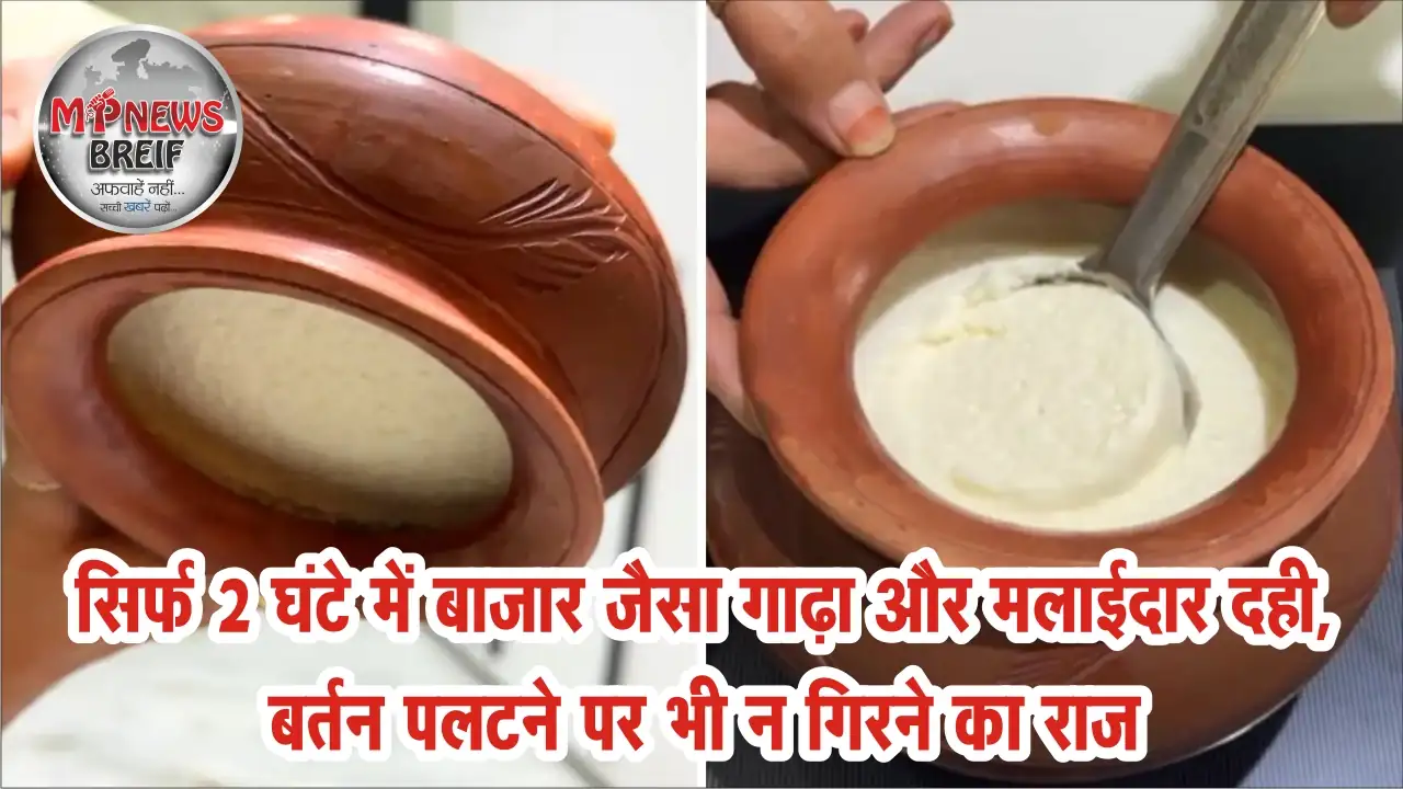 how-to-make-thick-curd-in-2-hour-at-home