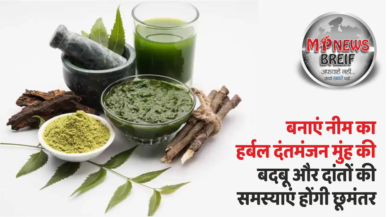 Neem Herbal Paste Remady