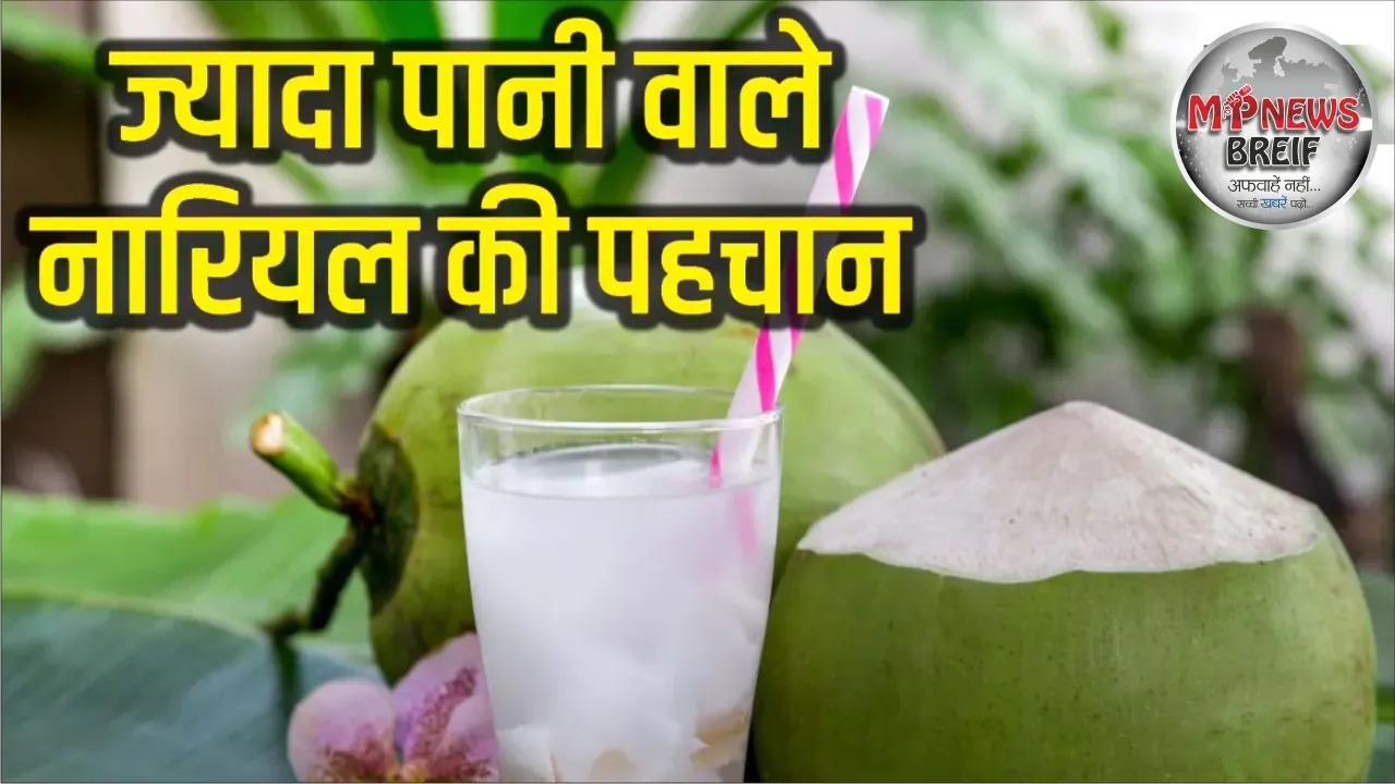 How to choose fresh coconut