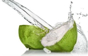How to choose fresh coconut