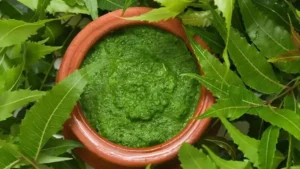 Neem Herbal Paste Remady