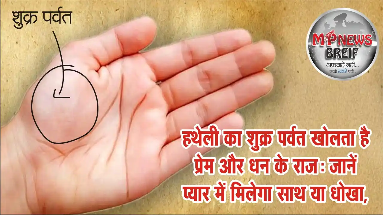Shukra Parvat In Palmistry