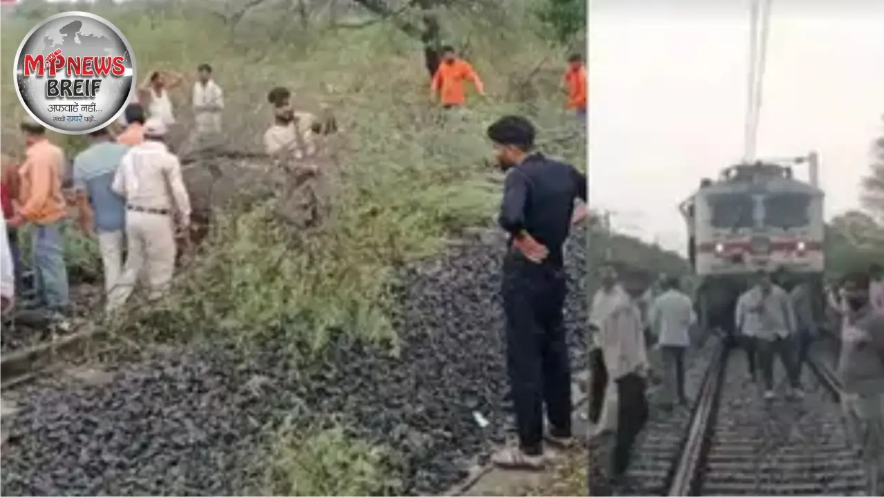 Tree Fell On Shajapur Railway Track