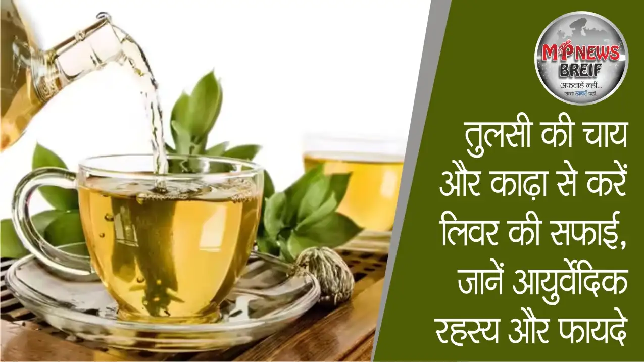 Tulsi for Liver Health