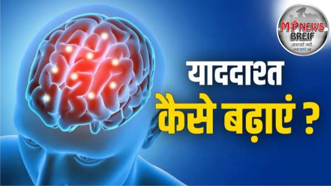 Harvard memory tips Reduce stress mindfulness