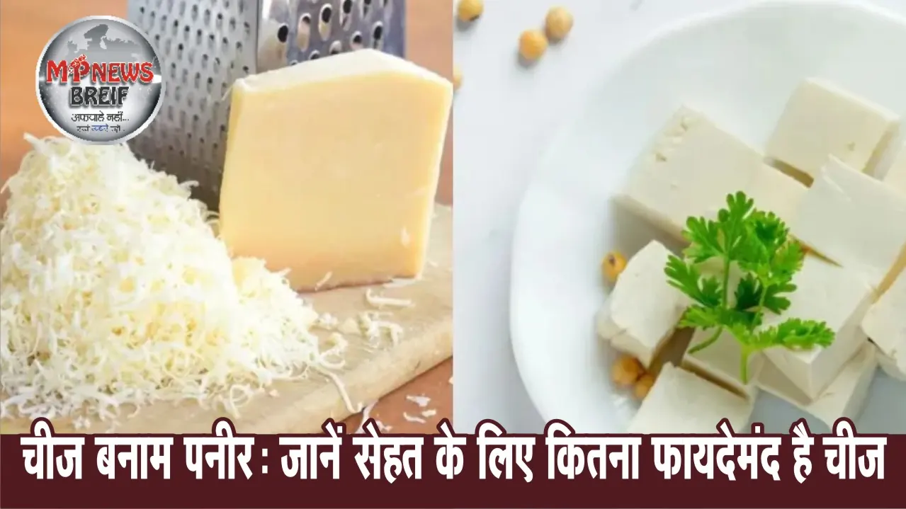 Cheese vs Paneer: Myths and Facts
