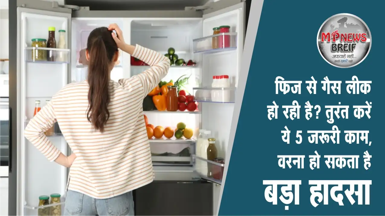 Fridge Gas Leak Safety Tips