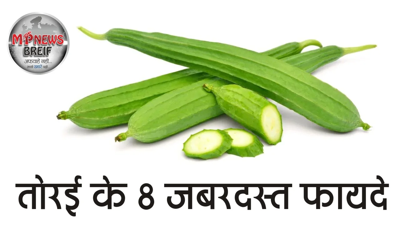 Ridge Gourd Benefits