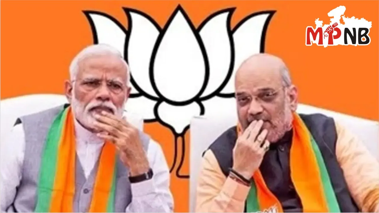 BJP president election delay
