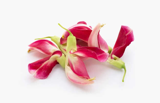 Agastya Flower Health Benefits