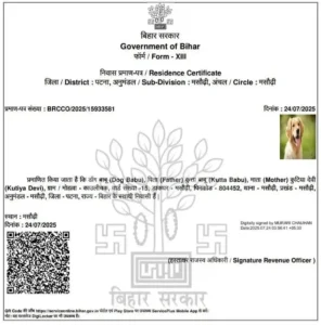 Unbelievable Lapse in Patna Dog Babu Receives Residence Certificate
