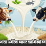 What is non-veg milk in India-US trade dispute