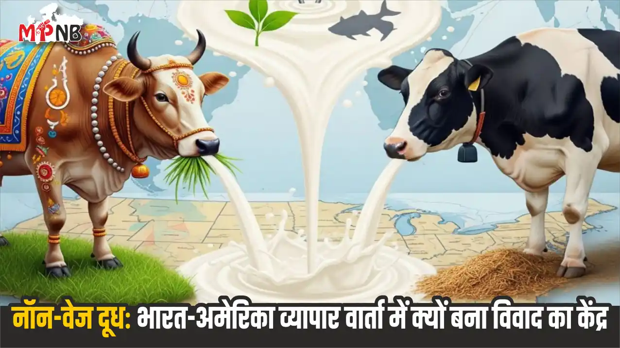 What is non-veg milk in India-US trade dispute