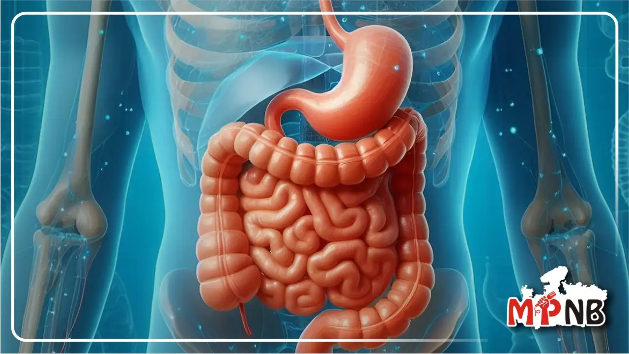 Constipation Can Damage Intestines