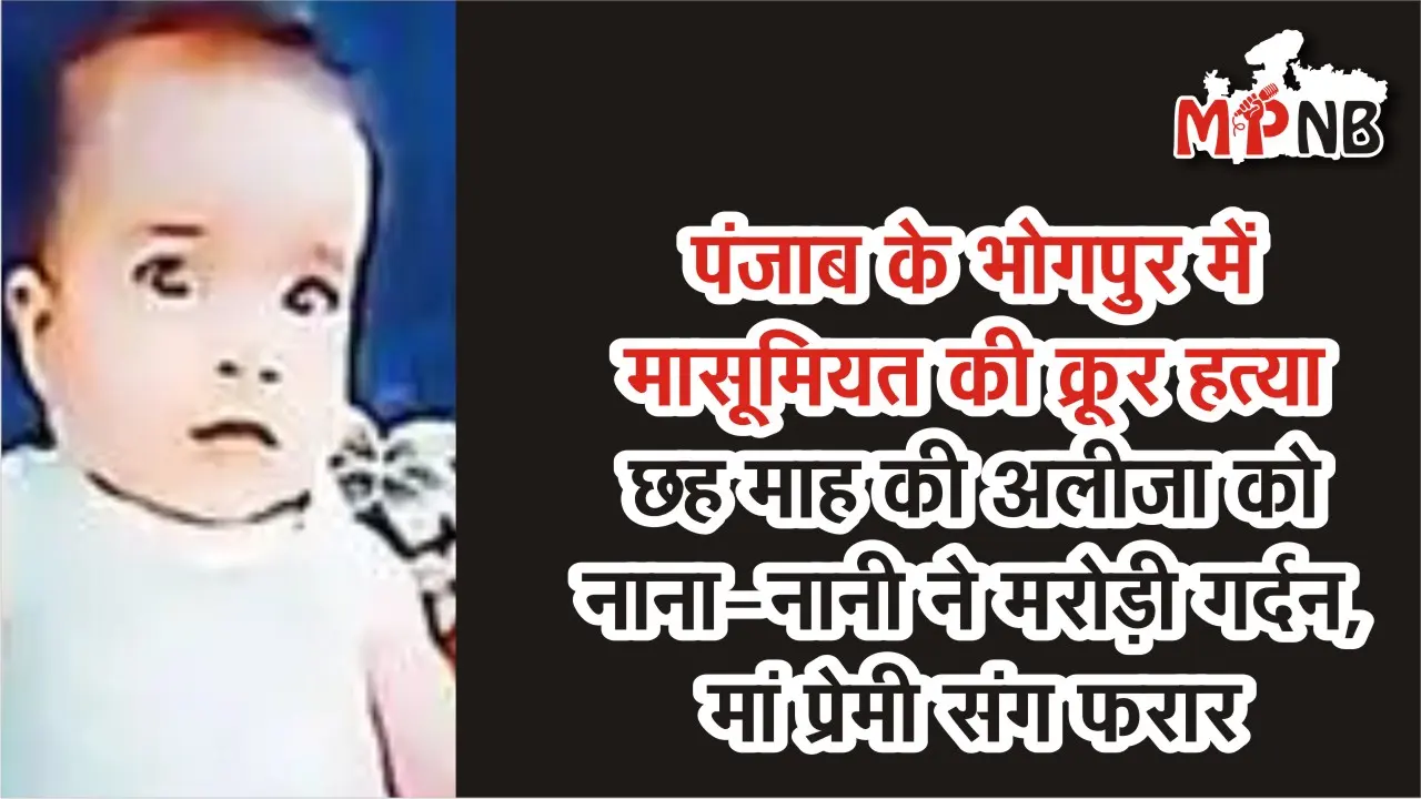 Punjab News