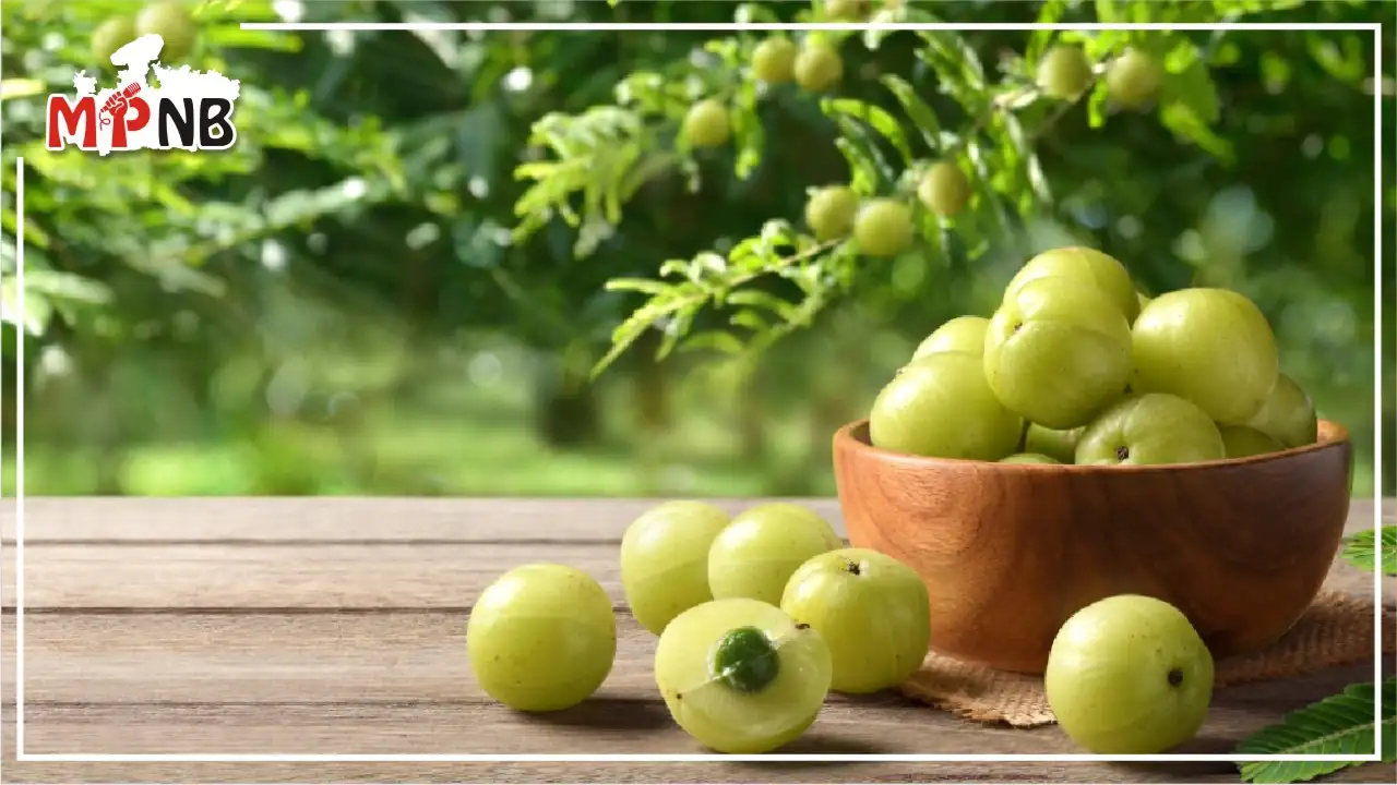Benefits of Amla