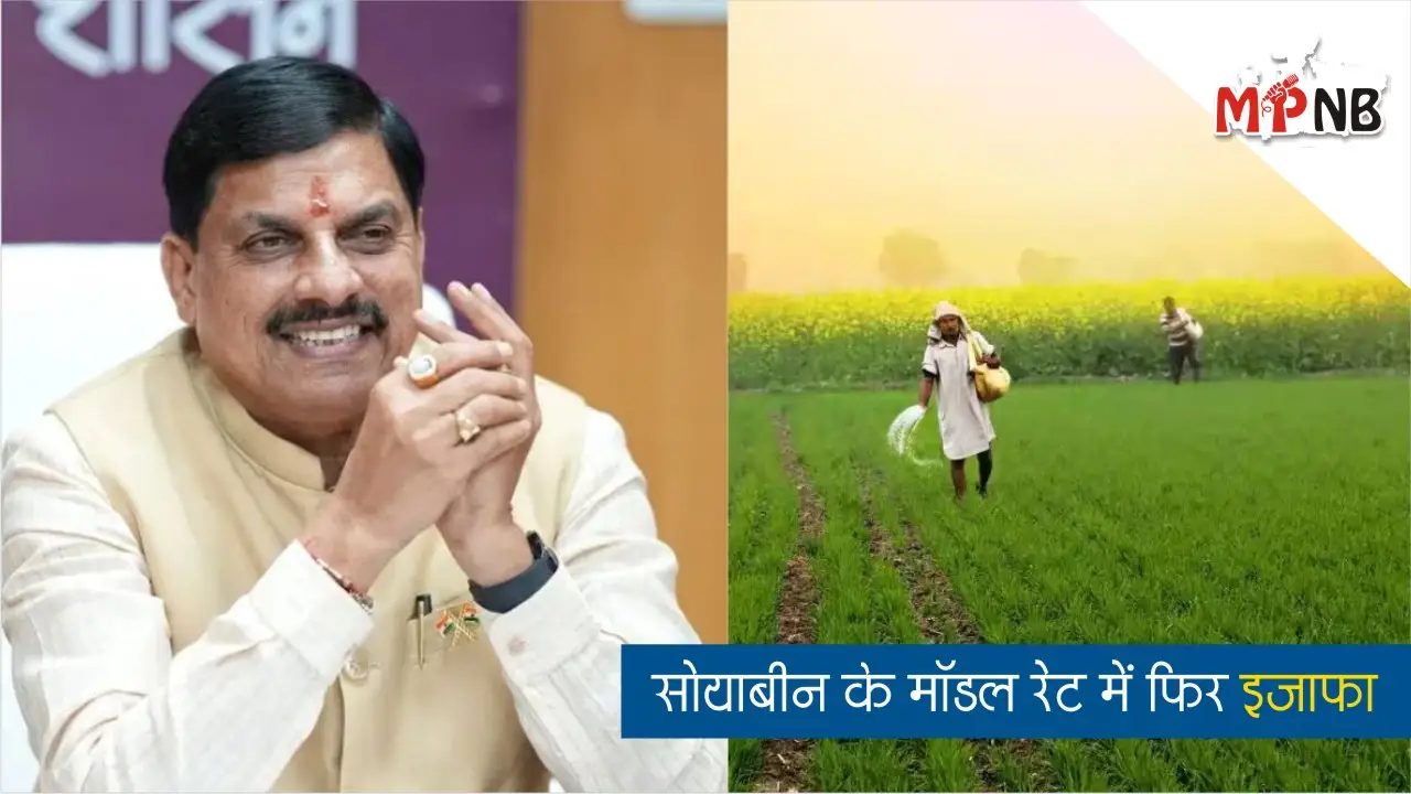 4263 Model Rate Soybean MP