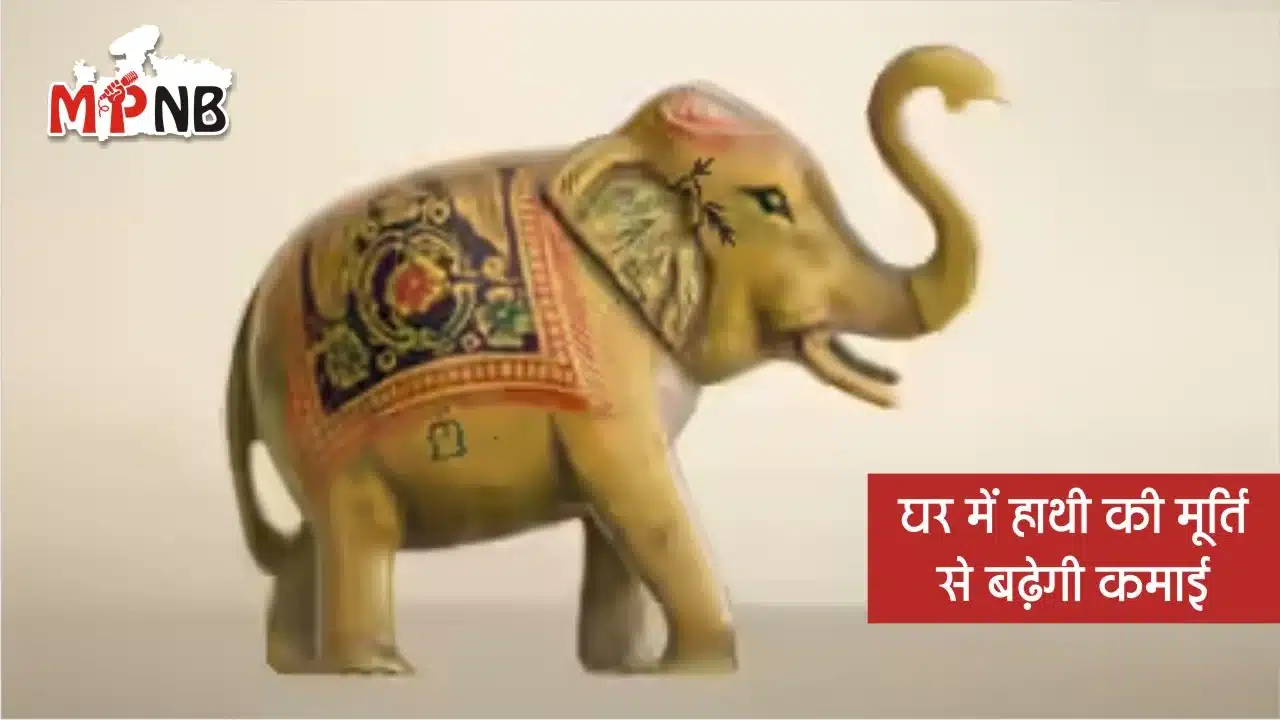 Boost Income with Elephant Vastu Tips