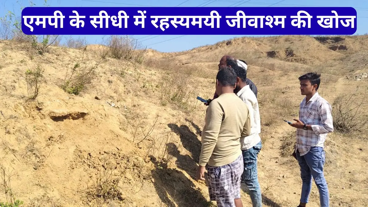 एमपी के सीधी में रहस्यमयी जीवाश्म की खोज, 12 मीटर लंबी हड्डियां और विशाल दांत