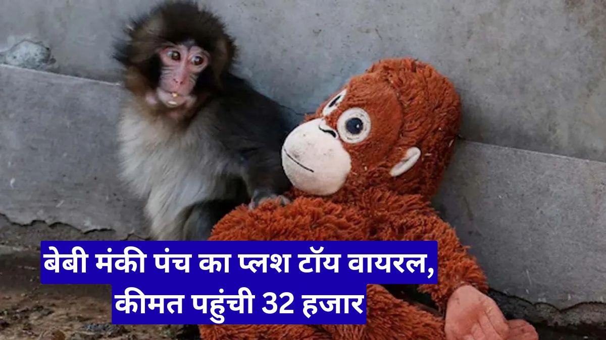 बेबी मंकी पंच का प्लश टॉय वायरल, कीमत पहुंची 32 हजार