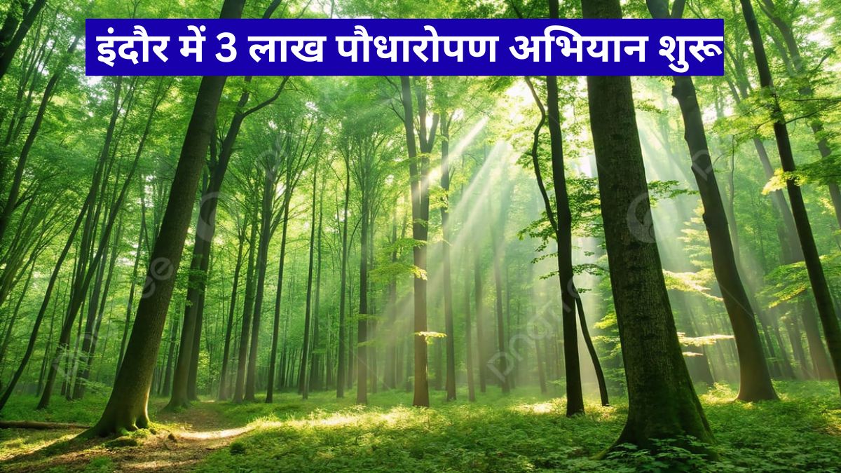 इंदौर में 3 लाख पौधारोपण अभियान शुरू, जंगलों में छाएगी हरियाली